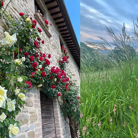 Apartment Casale Lucciole *