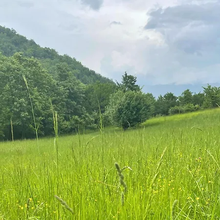 Casale Lucciole Apartment Santa Maria Lignano