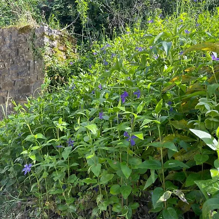 Casale Lucciole Santa Maria Lignano