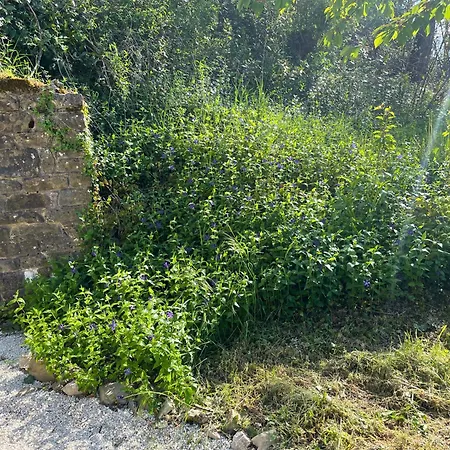 Apartamento Casale Lucciole Santa Maria Lignano