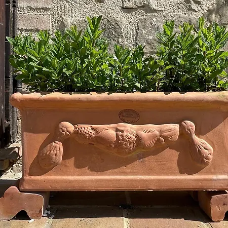 Casale Lucciole Apartamento *