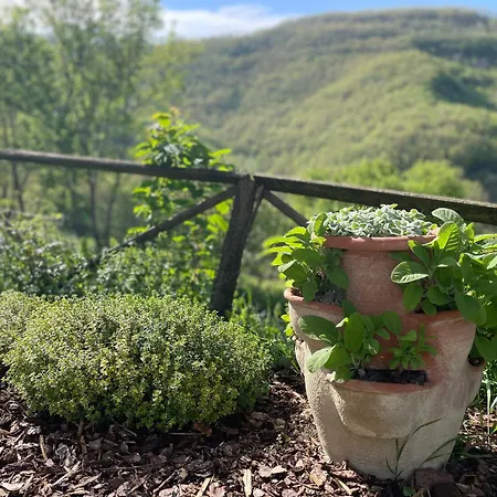 Apartamento Casale Lucciole *