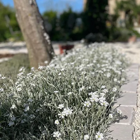 Apartamento Casale Lucciole Santa Maria Lignano