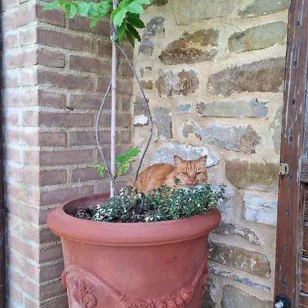 Casale Lucciole Apartamento *