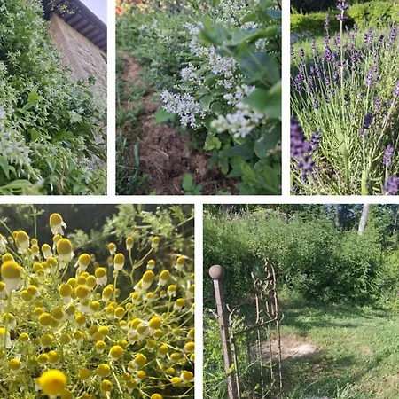 Casale Lucciole Santa Maria Lignano