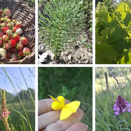 Casale Lucciole Apartamento *