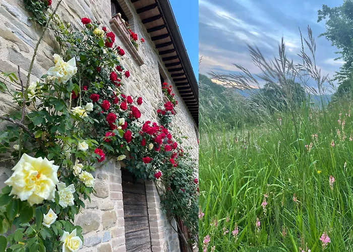 Appartement Casale Lucciole *