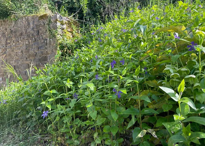 Casale Lucciole Santa Maria Lignano