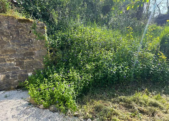 Daire Casale Lucciole Santa Maria Lignano