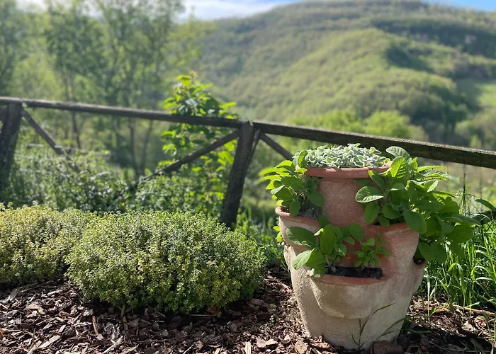 Daire Casale Lucciole *