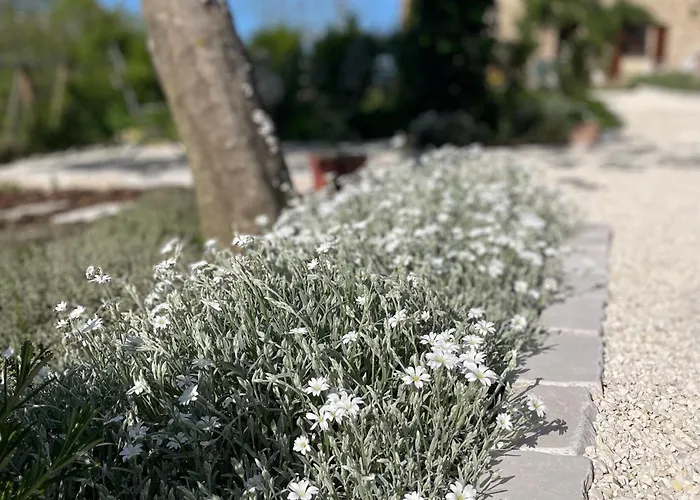 Daire Casale Lucciole Santa Maria Lignano