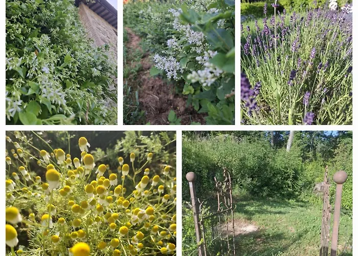 Casale Lucciole Santa Maria Lignano