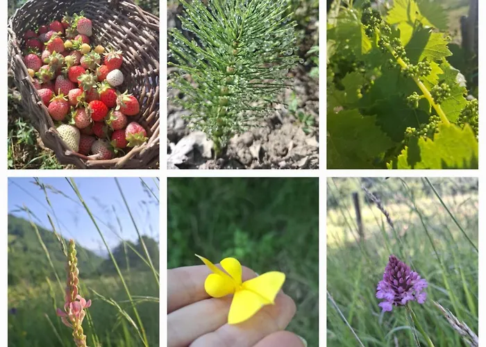 Casale Lucciole Appartement *