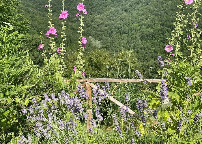 Daire Casale Lucciole *