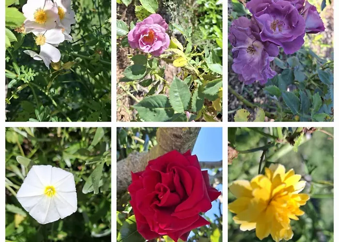 Casale Lucciole * Santa Maria Lignano